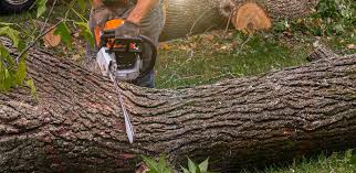 Best Aeration Services  in Scott City, KS