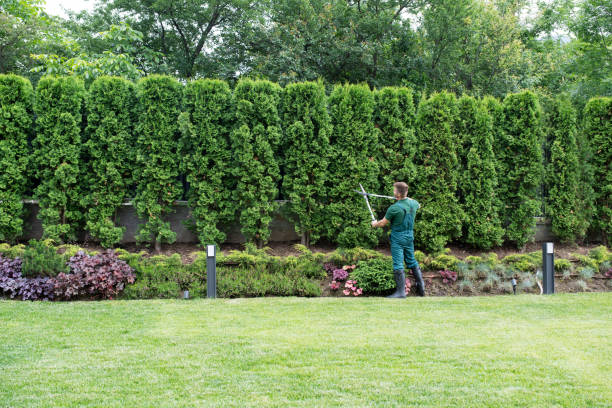 Landscape Design and Installation in Scott City, KS